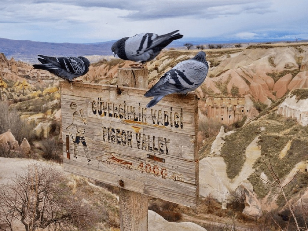 Güvercinlik Vadisi Görsel 1